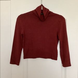 Perfect fall turtle neck top